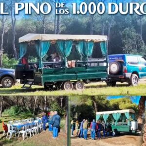 Un día de camino de Rocío